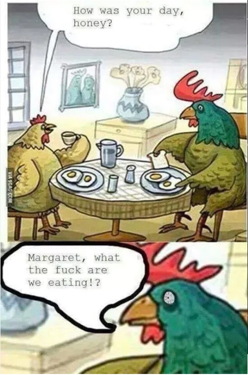 Chickens' meal