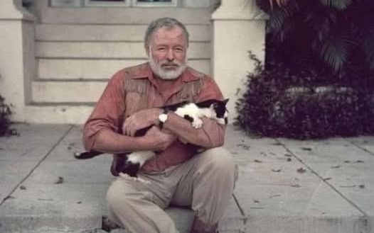 Whiskers and Words: Hemingway’s Eternal Love for Cats