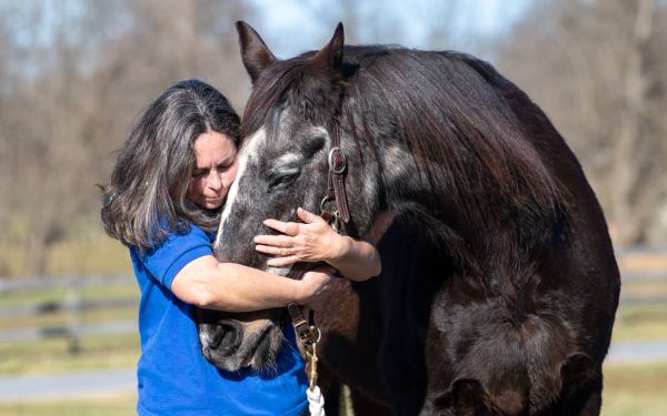 Astro the Horse and the Woman Who Refused to Let Go