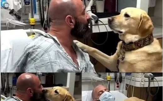 The Silent Healer