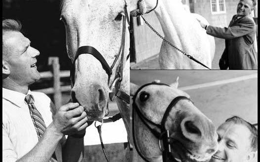 The $80 Miracle: How a Kind Man and a Plow Horse Jumped into History