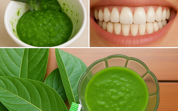 Guava Leaves for a Brighter Smile: A Time-Tested Beauty Secret from Nature